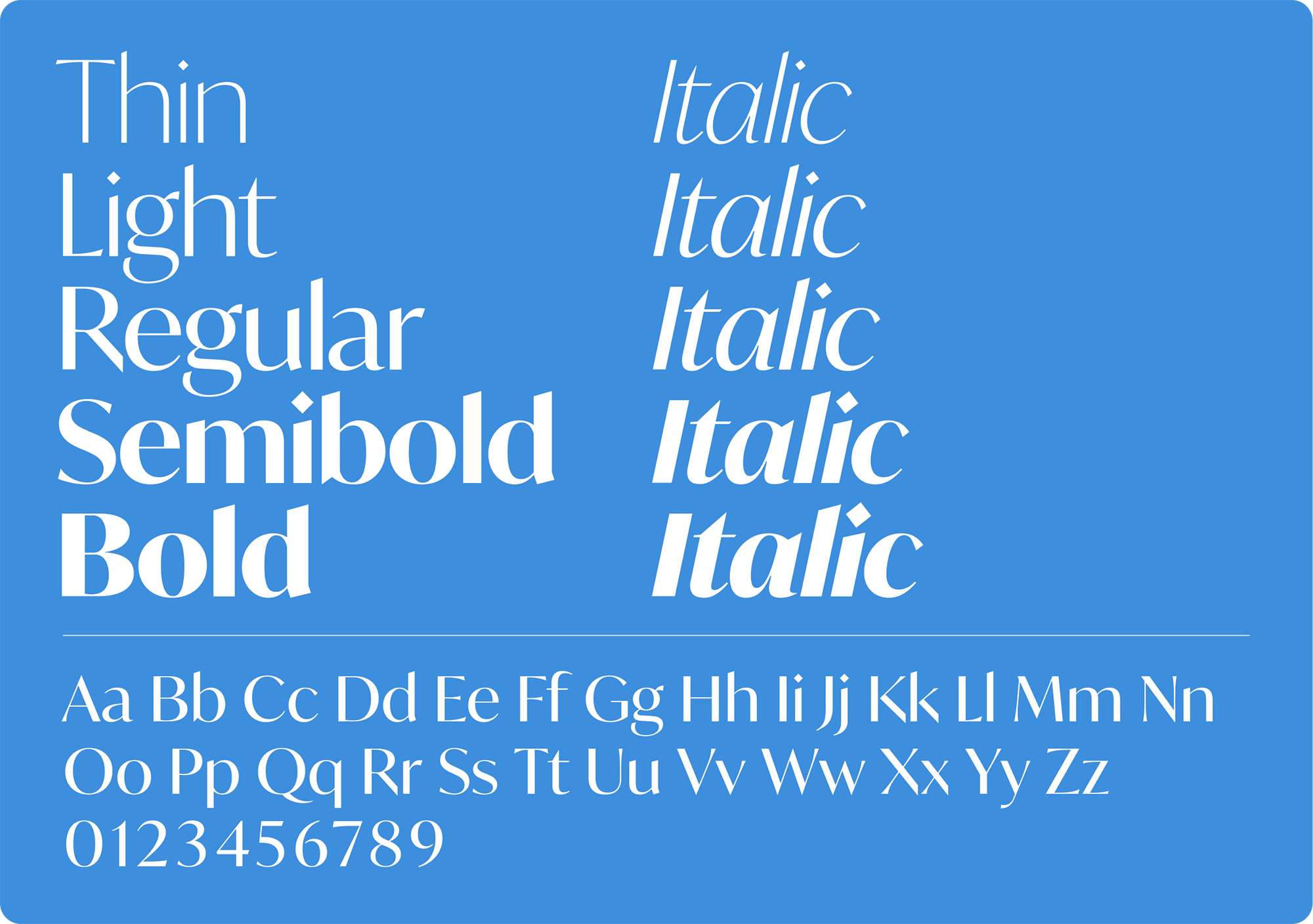 Meta Serif Font Family